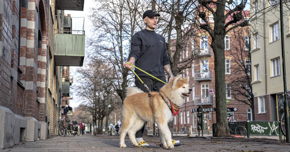 Niklas, 35, utreder hunddåden på egen hand: ”Något måste hända”