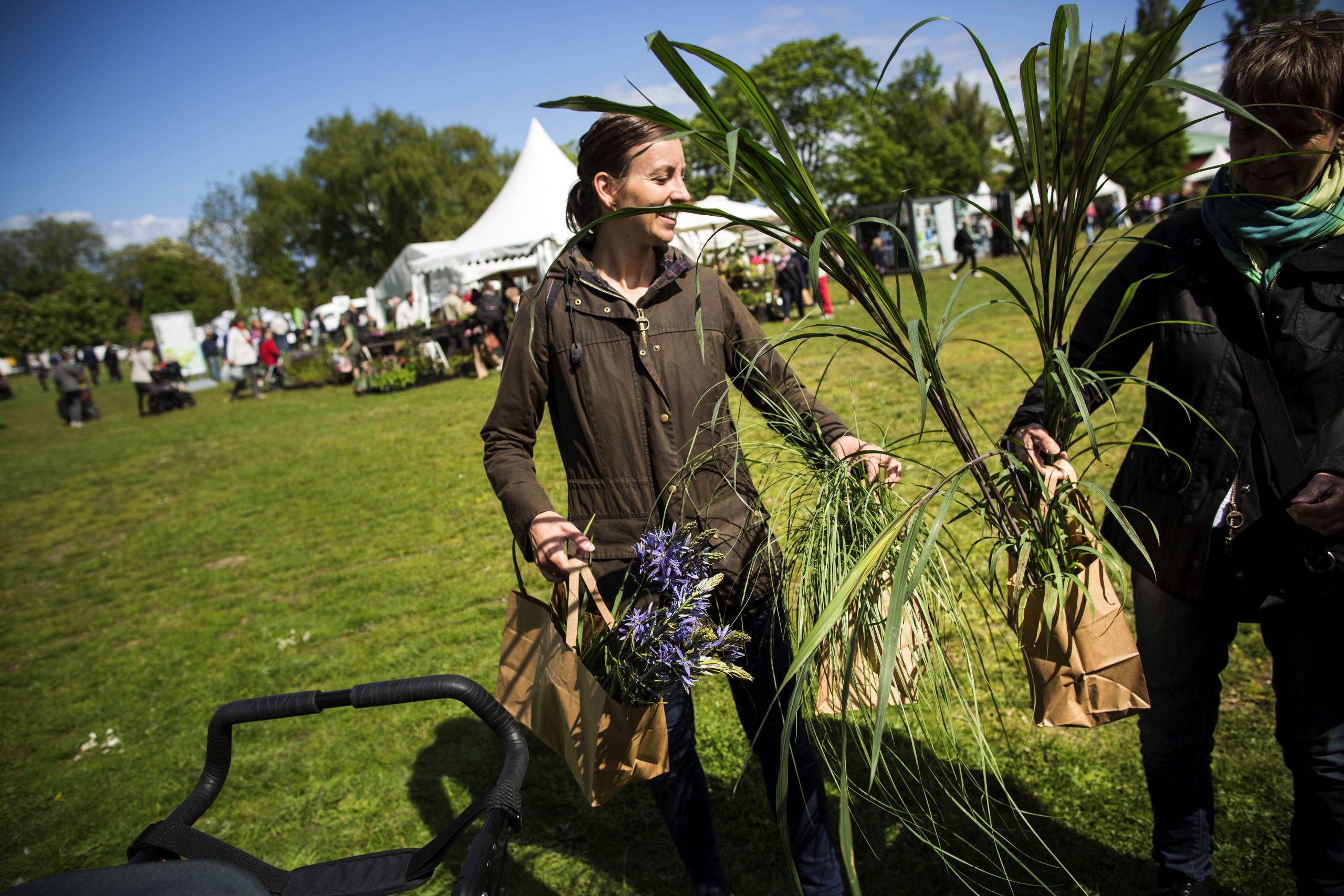 Malmö Garden Show Har Slagit Upp Portarna – HD