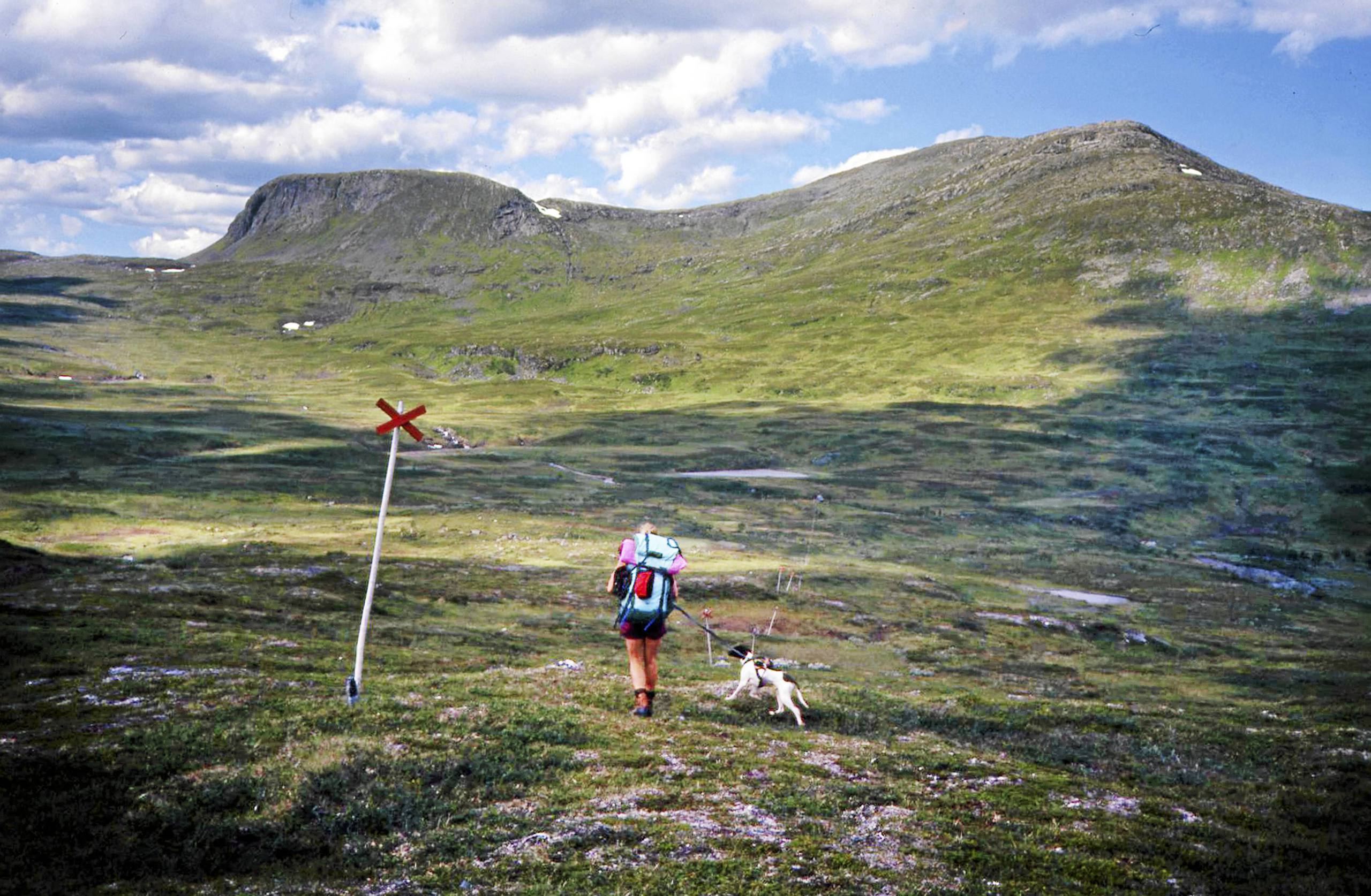 Fjällsäkerhetsrådets rekommendationer vid fjällvandring i 