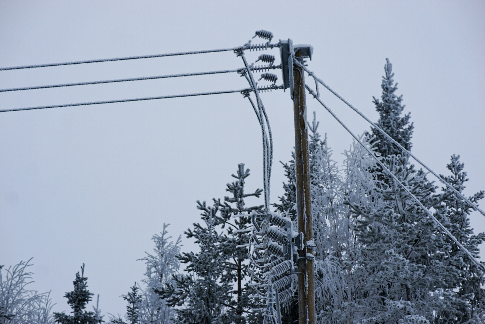 Mer snö till länet- Eon varnar för fler strömavbrott i ...