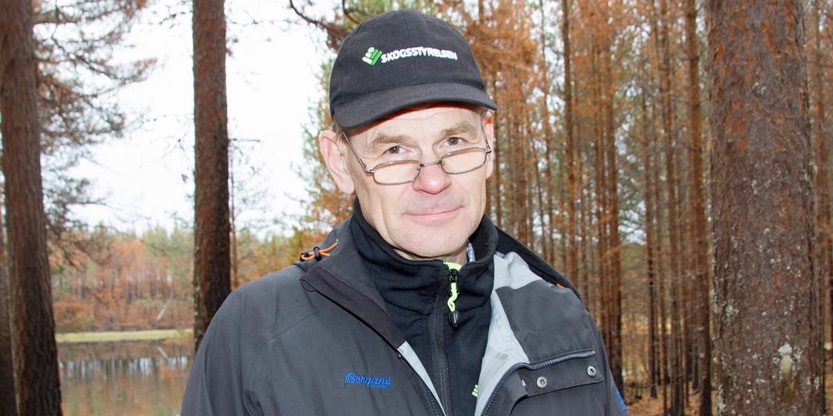 Skogsstyrelsen säger upp personal – så många får gå i Jämtland