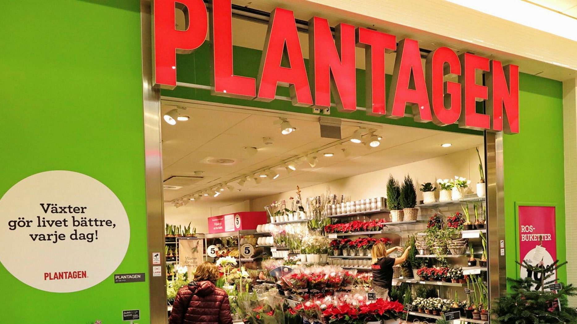 Svenska Plantagen fortsätter att visa förbättrat resultat - Market
