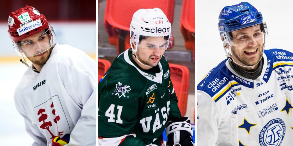 LISTA: 20 bästa värvningarna i hockeyallsvenskan – VIK:s värvningar hyllas