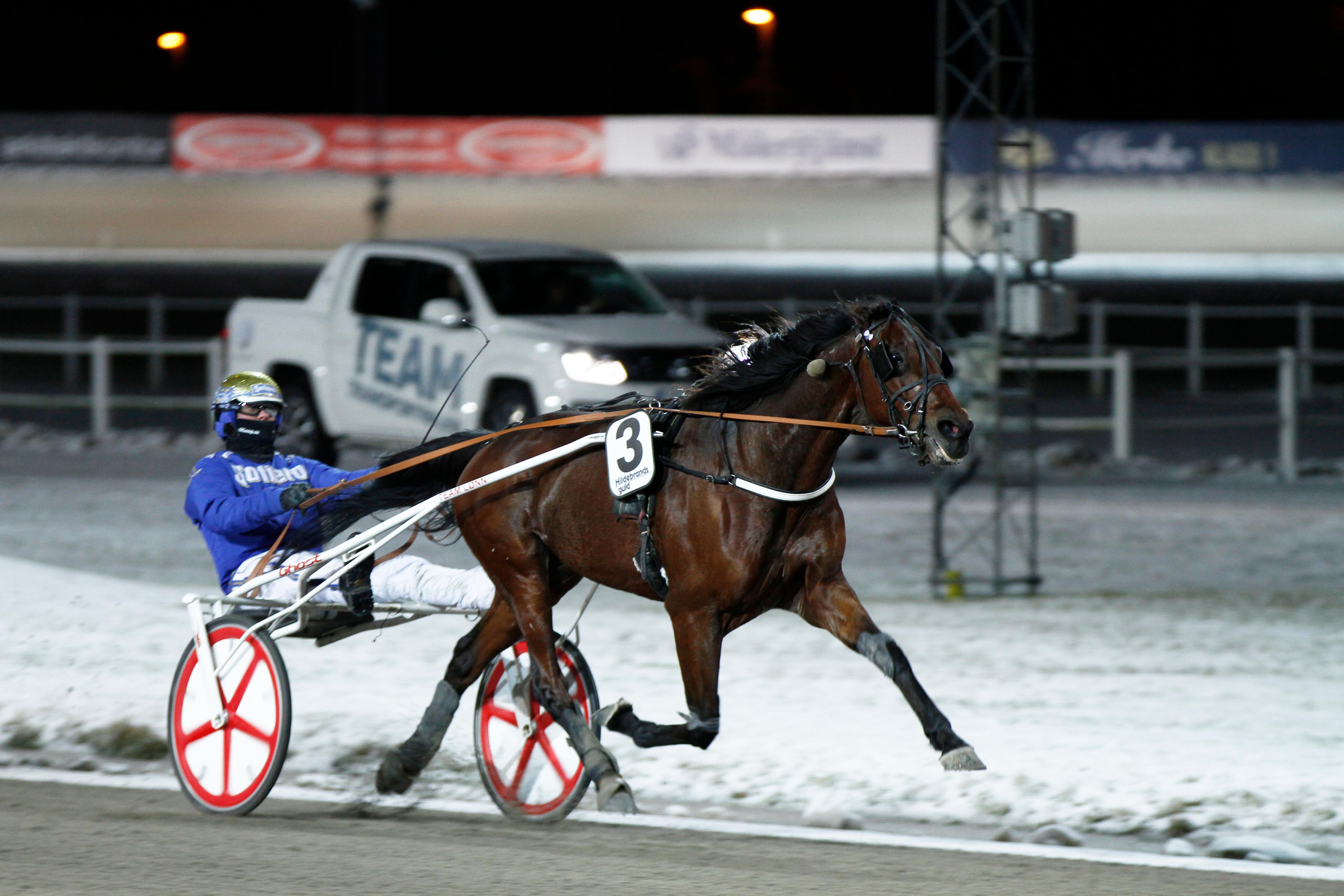 Från Hudiksvall och hockey till Gävle och trav – nu har han en vinnande  häst på V75: 