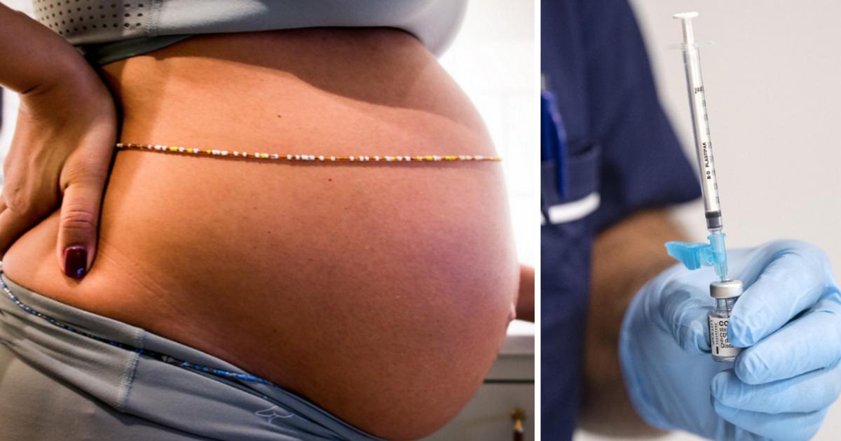 Få gravida är vaccinerade: ”Vi känner oss djupt bekymrade”