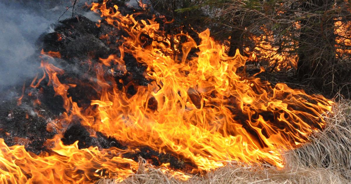 SMHI varnar för gräsbränder