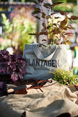 Plantagen öppnar pop-up i Sickla på 1 800 kvm - Fastighetsnytt