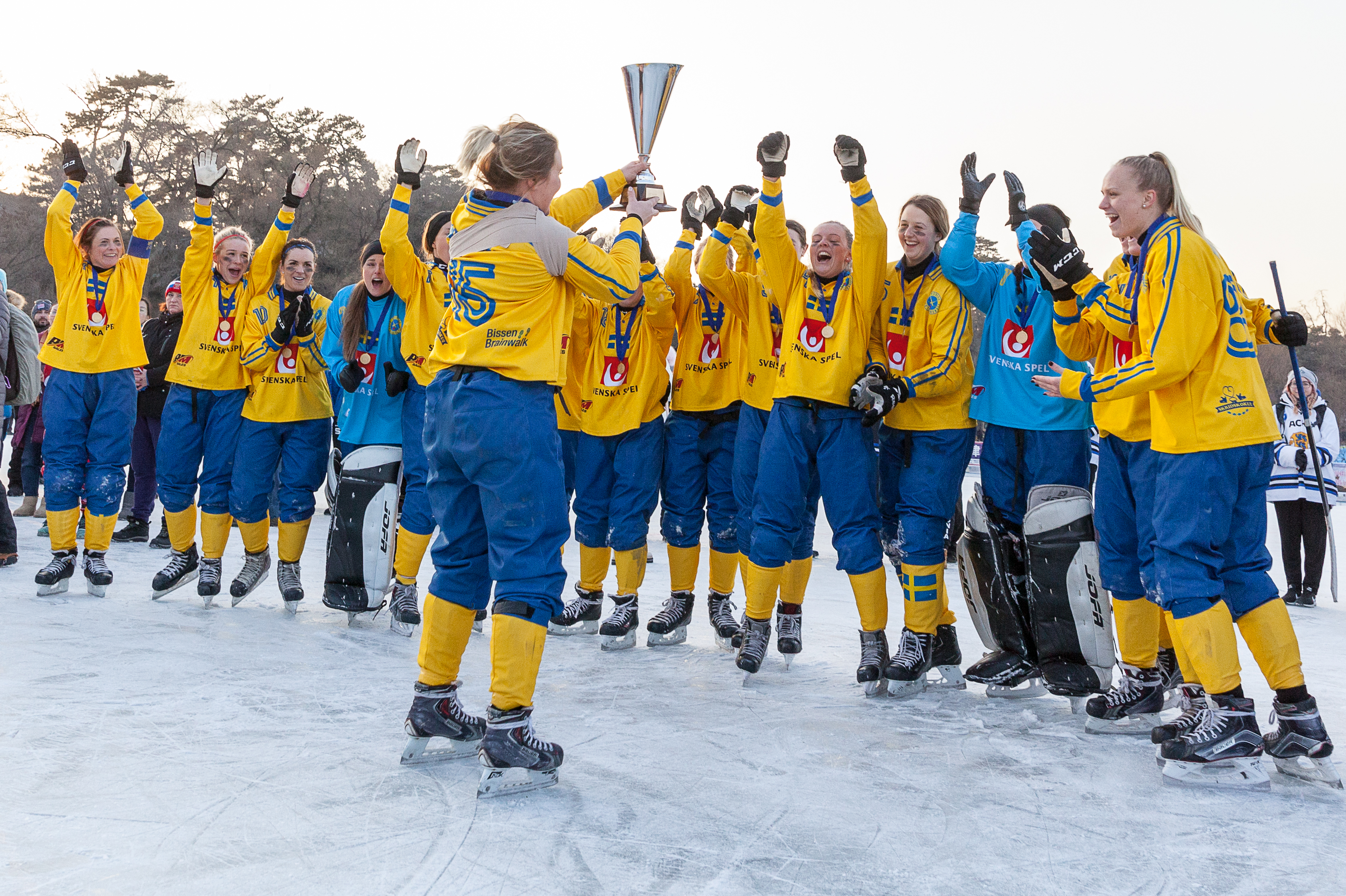 Live Tv 14 00 Sverige I Semifinal I Bandy Vm Se Guldjakten Live