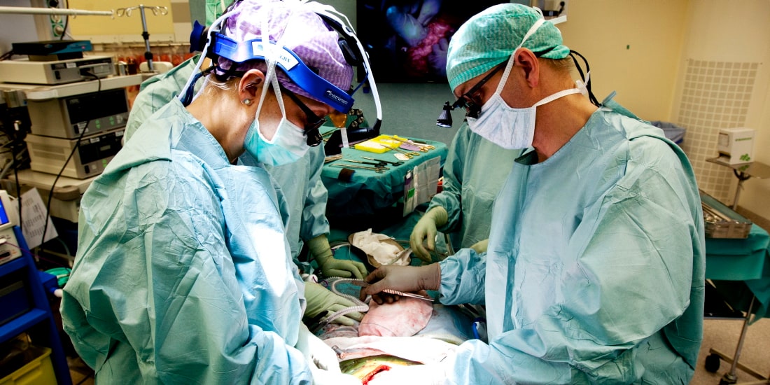 Livmodertransplantationer I Usa Dagens Medicin