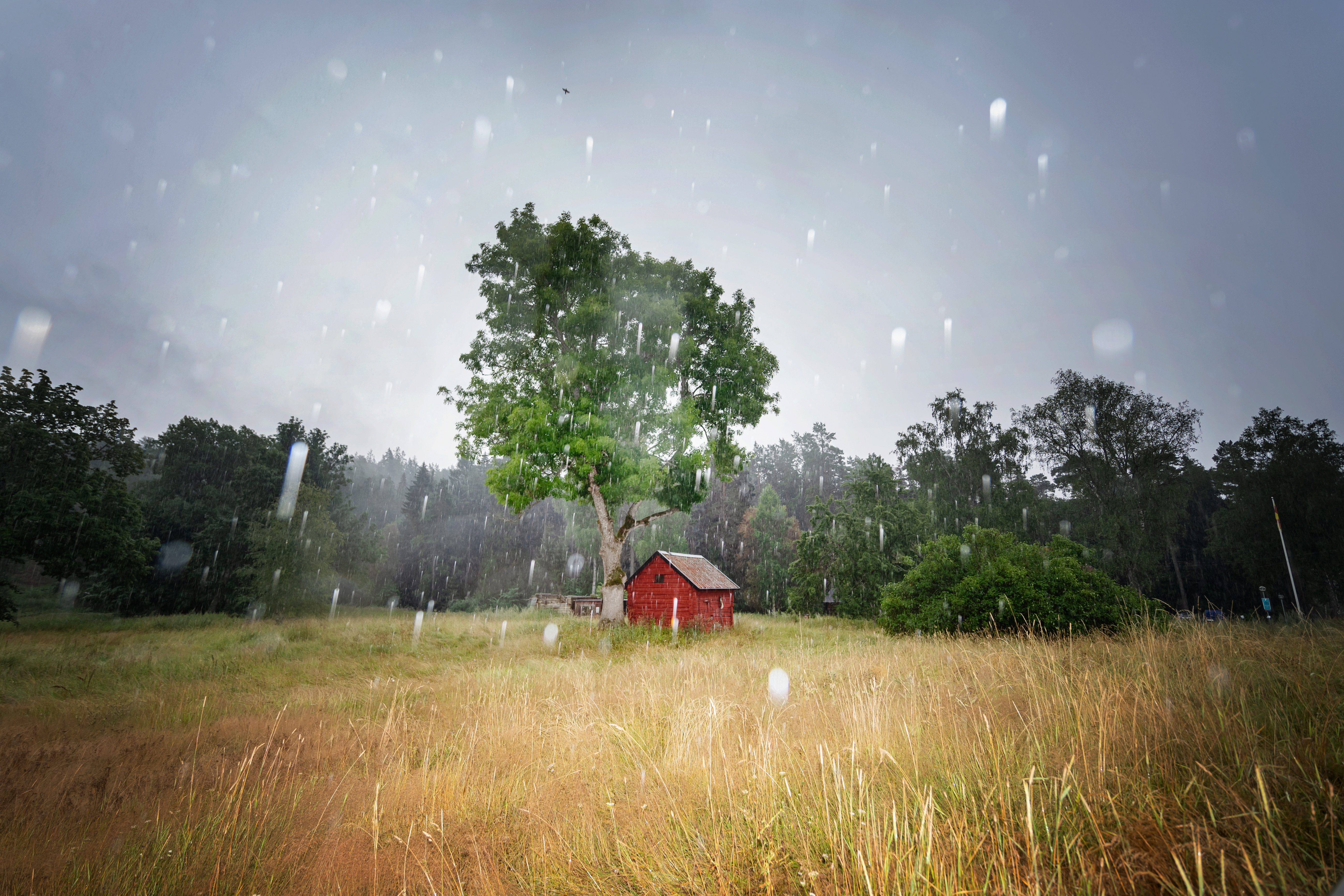 Svalare luft på ingång "Sommarväder" HD