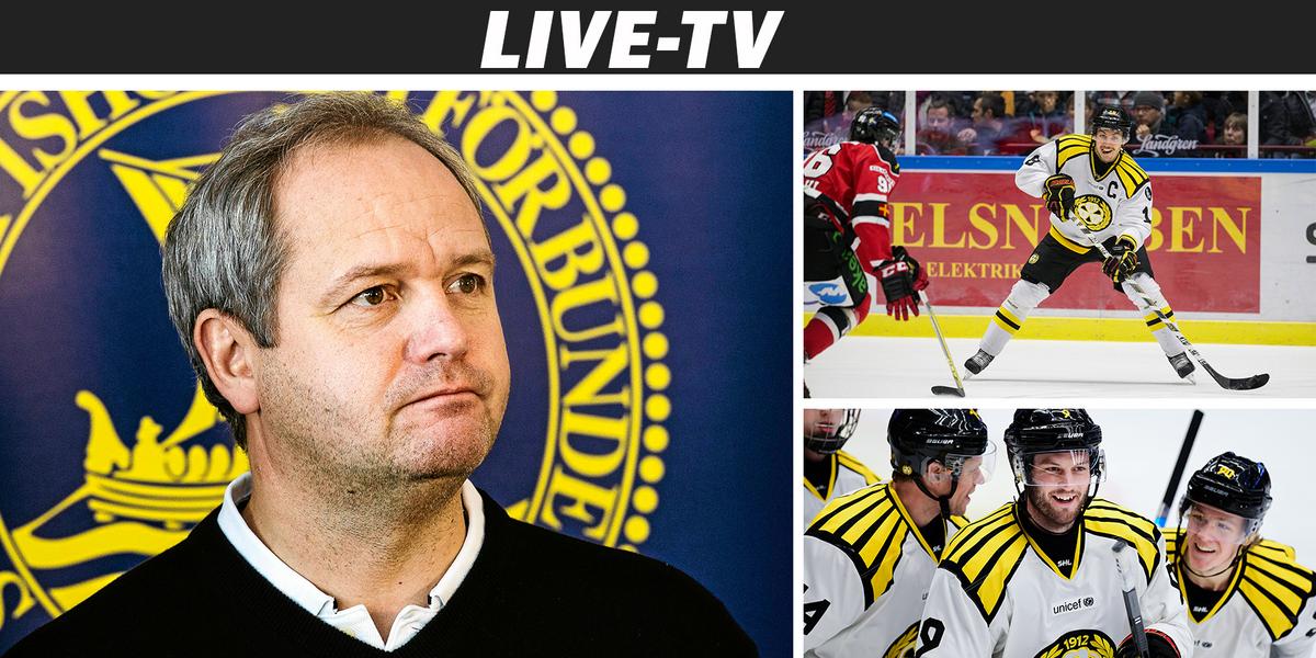 Brynäs: 
    LIVE-TV: Micke Sundlöv i stor intervju – så ska han lyfta Brynäs 
  