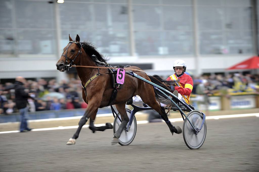 Readly Express jagar plats i Prix d'Amerique – Sydsvenskan