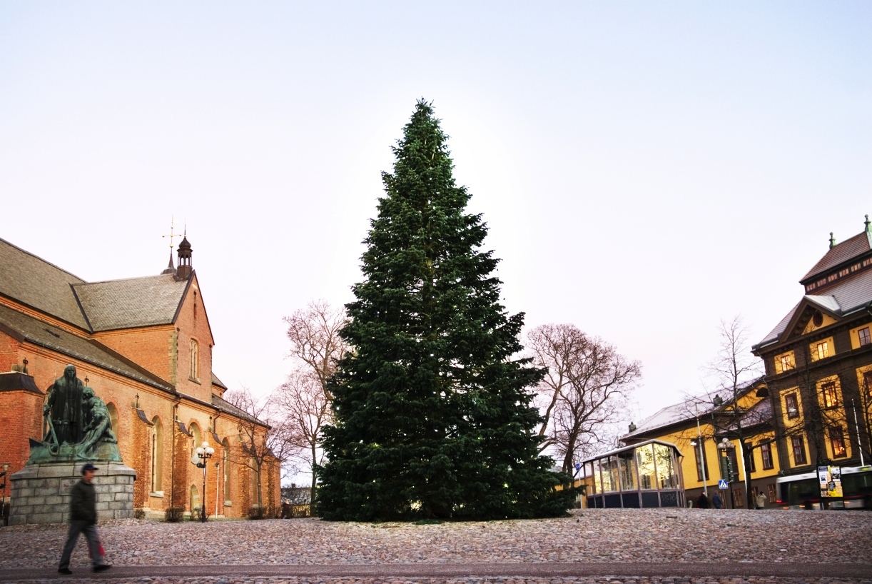 julgran falun Här finns Dalarnas finaste julgran