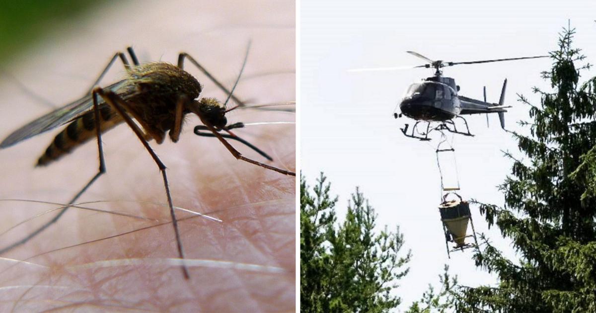 Fler mygg kan bekämpas i framtiden