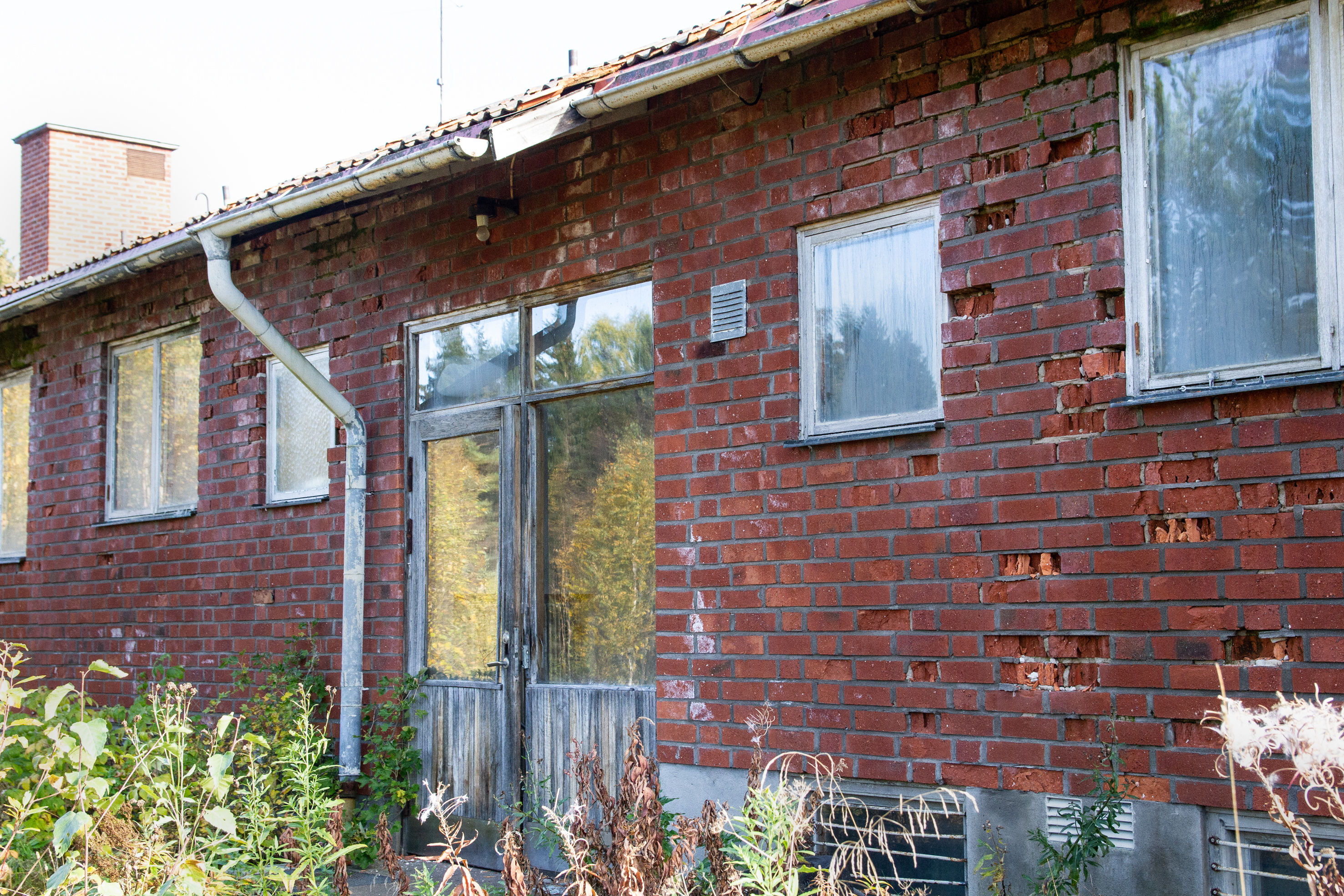 Gamla Solf skola ska rivas i sommar – men först fick byns ungdomar täcka in  byggnaden i graffiti – Österbotten –