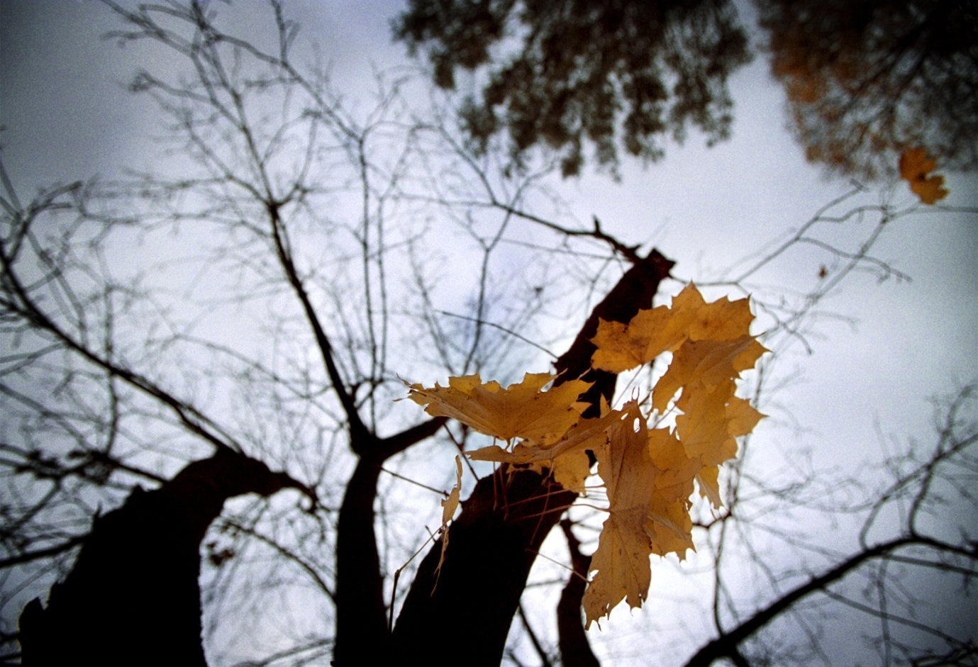 Hösten blåser in över länet Foto bild